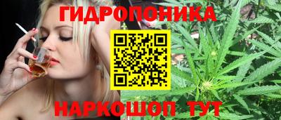 apvp Рыбинск